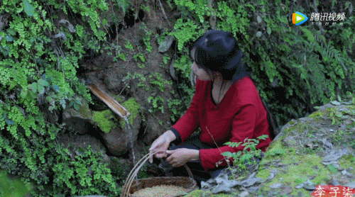 被央視點贊，“李子柒”的故事，酒業可以復制嗎？