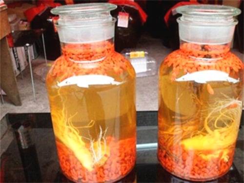 人參、靈芝泡酒配方大全！藥酒功效大全
