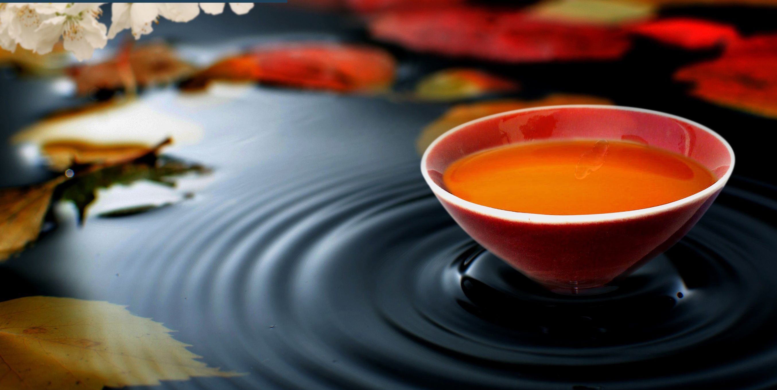 紹興黃酒有哪些特點(diǎn)？紹興黃酒的主要特點(diǎn)