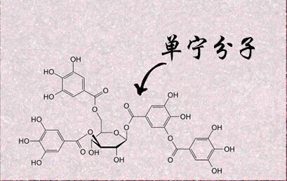 紅酒單寧是什么意思？不同紅酒中的單寧含量是多少？