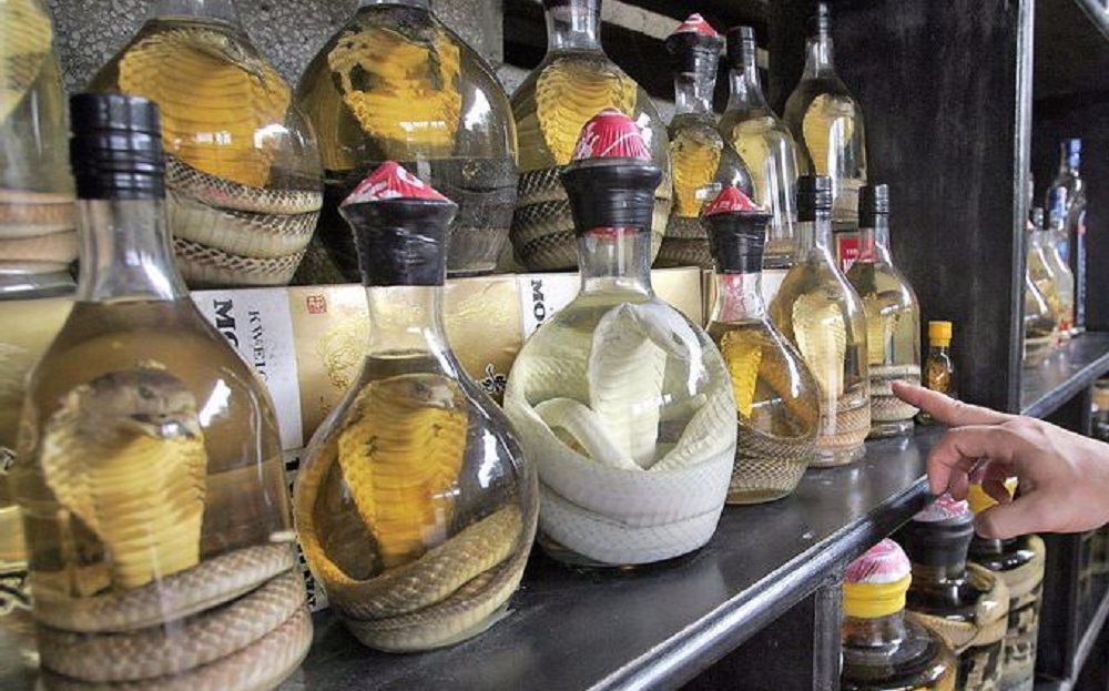 毒蛇泡酒多久才能喝？毒蛇泡酒多久才會死？