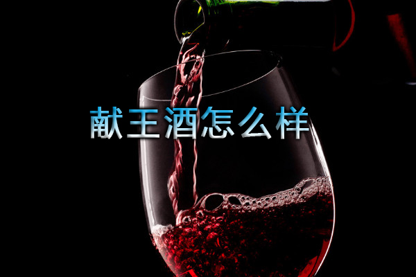 獻王酒怎么樣