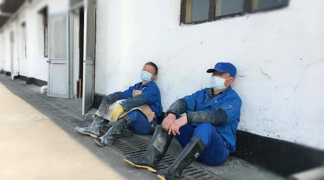 黃酒集團釀酒師每天在車間里走2萬多步，急得午休時間都想省！