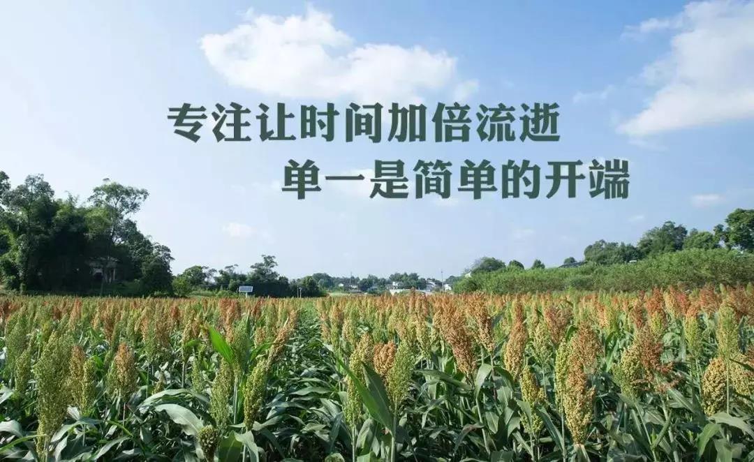 江小白的誠實“告白”，講透當前酒企的“難言之隱”