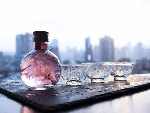 如何制作櫻花酒？櫻花酒有什么功效？
