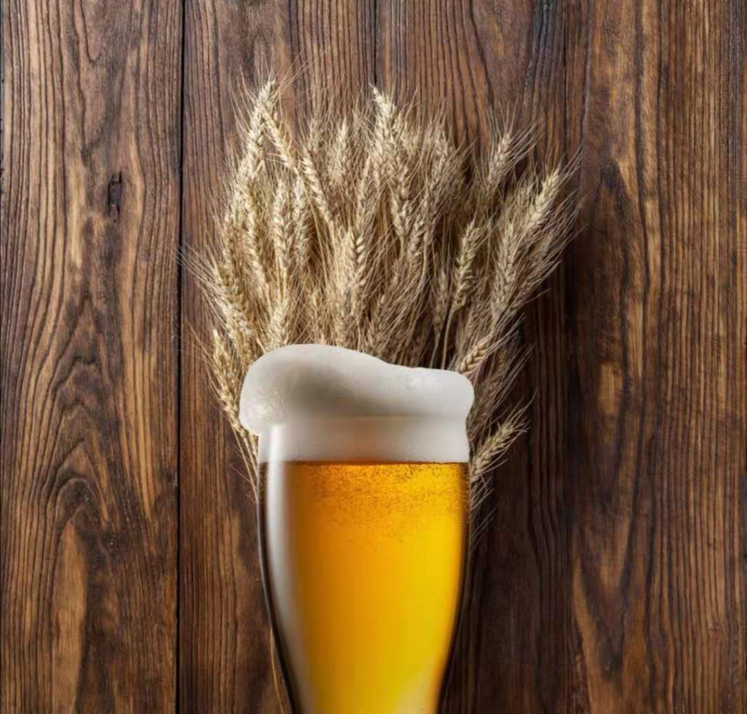 德國優質啤酒排行