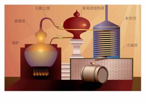 干邑是如何釀造的？釀造干邑的葡萄是哪種？