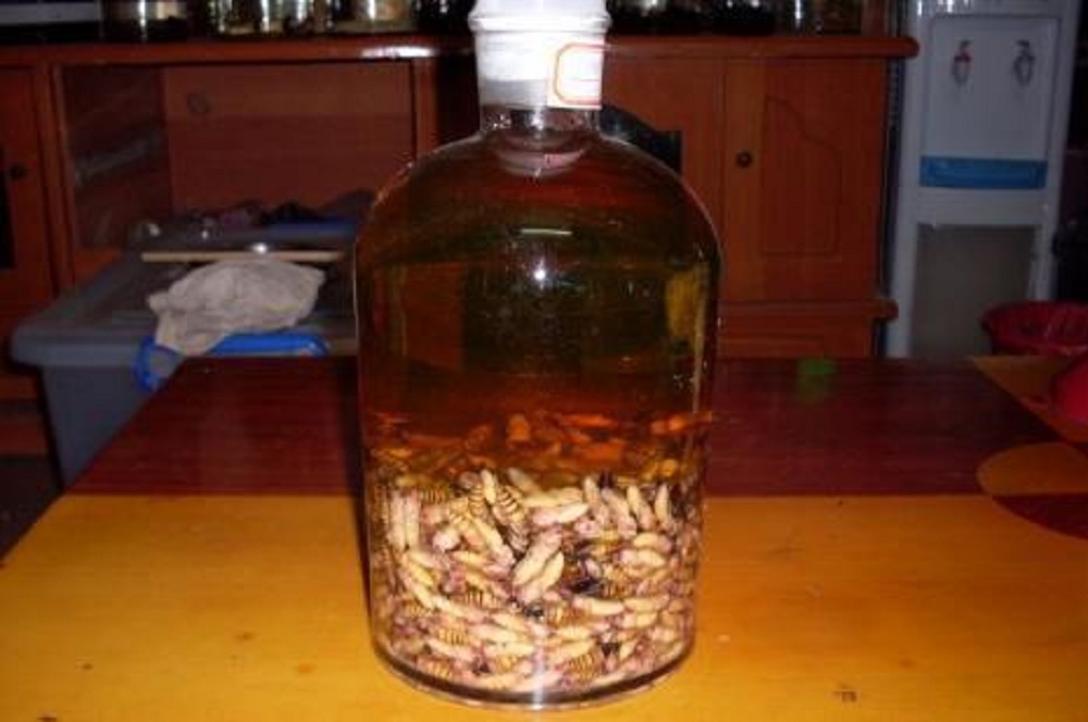 蜂蛹泡酒的方法，功效有哪些