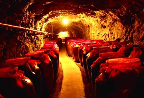 如何自建酒窖？自建酒窖造價一般是多少？