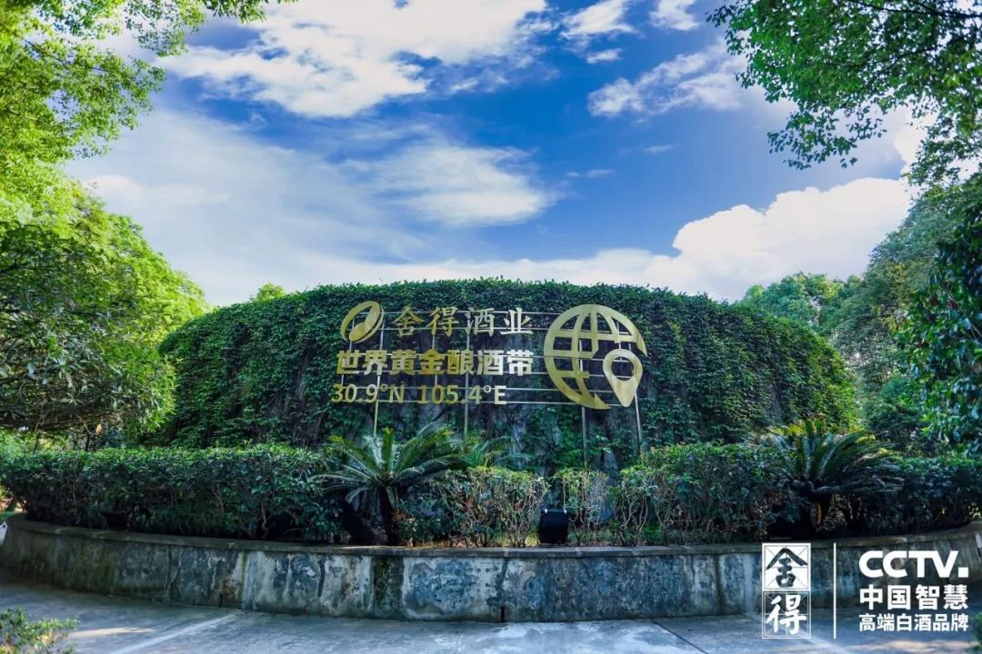 要成就更好的舍得，為什么一定是老酒？