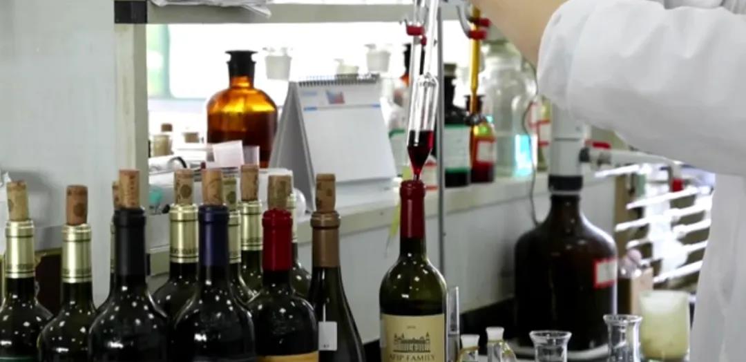 張裕如何下好“葡萄酒首個區塊鏈平臺”這盤大棋？