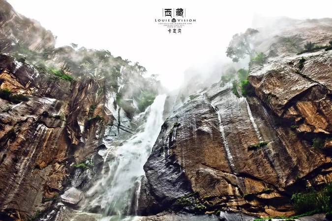 臨水生態洞藏12多少錢(臨水洞藏20年價格)