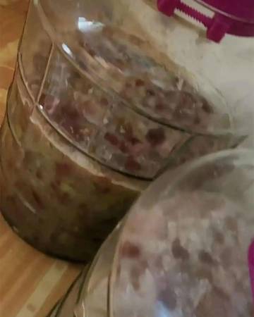 自制葡萄酒葡萄發霉(自釀葡萄酒發霉)