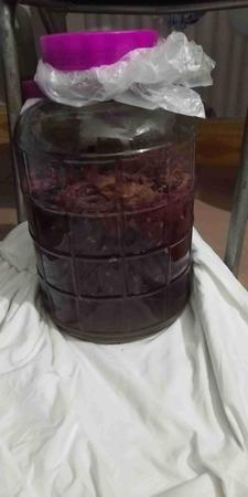 做葡萄酒為什么沒發酵(為什么酒窖不能發酵葡萄酒呢?)