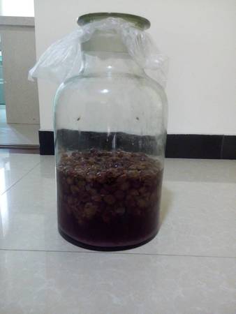 自制葡萄酒怎樣發酵(葡萄發酵葡萄酒制作方法)
