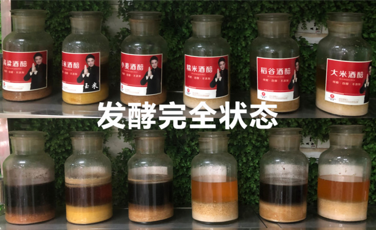 自己釀酒發酵用什么用(自己釀酒怎么發酵)
