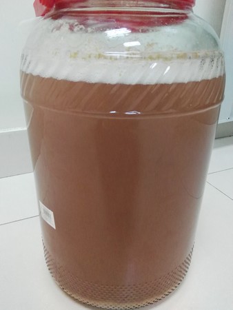 自釀葡萄酒需要發酵多少天(自釀葡萄酒需要發酵多長時間)