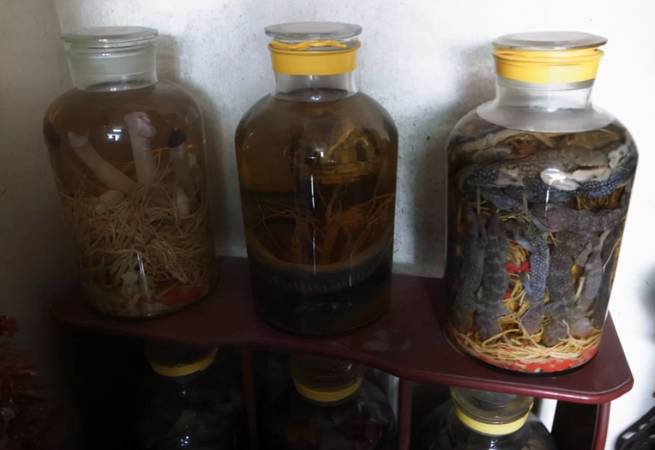 江中制藥做什么酒(江中藥業有什么酒)
