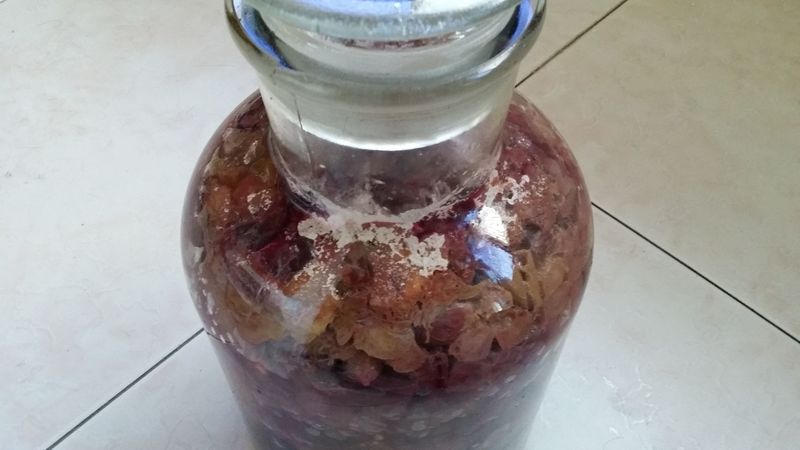 自釀葡萄酒出現白膜(自釀葡萄酒起白膜)