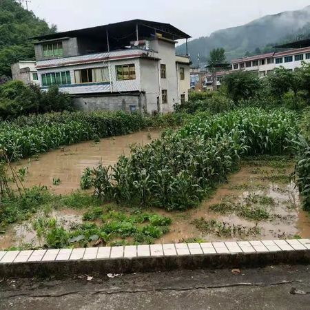 十二年楚鄉王價格(楚鄉王12年多少錢一瓶)