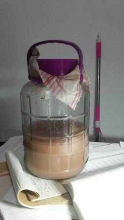 葡萄酒沒發酵(葡萄酒沒發酵好怎么辦)