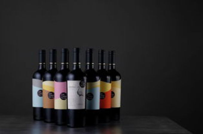 企鵝團(tuán)紅酒價格(法國小企鵝紅酒價格表)
