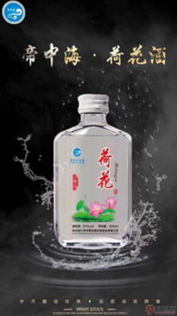 貴州茅臺鎮荷花酒42度(貴州茅臺鎮荷花酒42度多少錢)