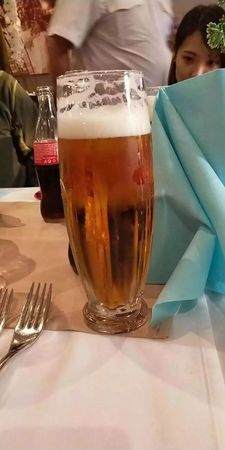 捷克當地啤酒價格(捷克啤酒多少錢一瓶)