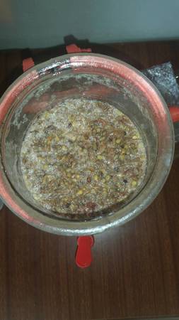 葡萄發酵什么樣子(葡萄酒發酵是什么樣子)