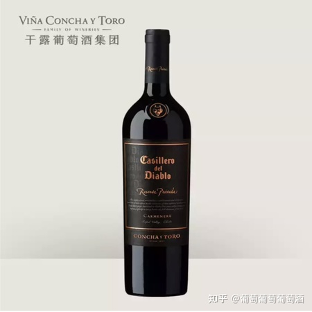 智利紅酒哪個年份好(智利葡萄酒哪個年份好)