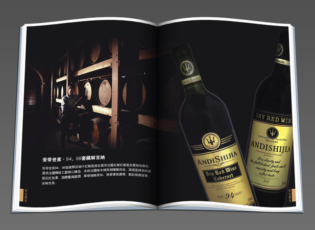 洋酒的書(shū)本(關(guān)于洋酒的書(shū)籍)