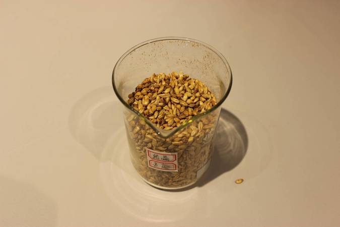 什么酒是麥芽做的(麥芽酒是什么酒)