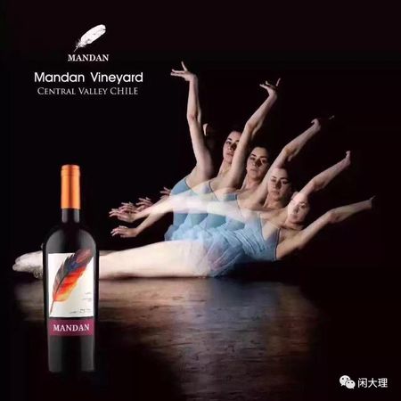 曼達紅酒怎么樣(卡曼尼紅酒怎么樣)